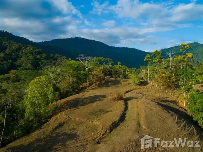 Land for Sale at Uvita for $1,550,000