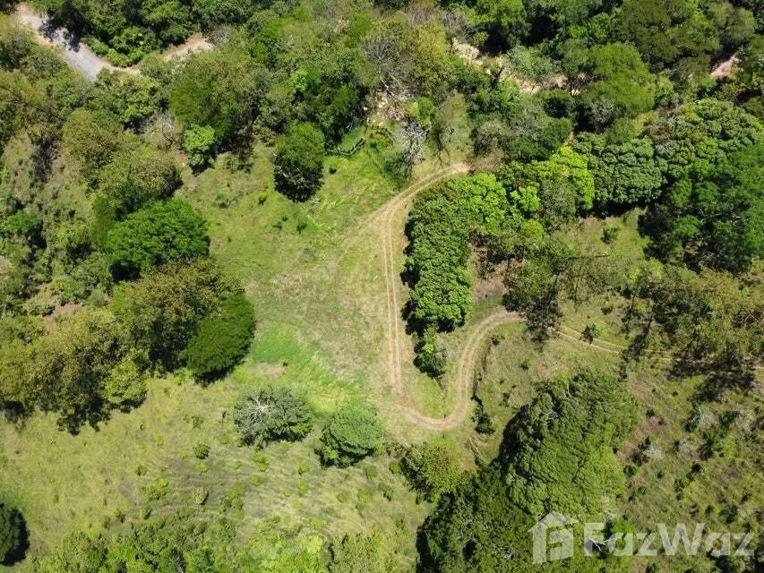 Land for Sale in Mora, San Jose for $5,500,000