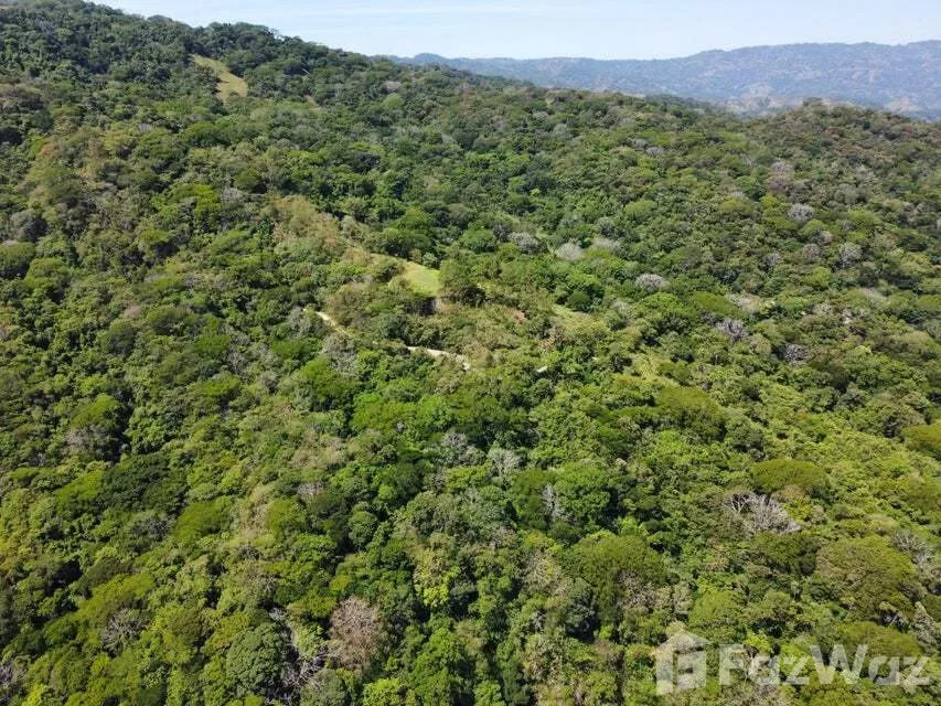 Land for Sale in Mora, San Jose for $5,500,000 — photo 3