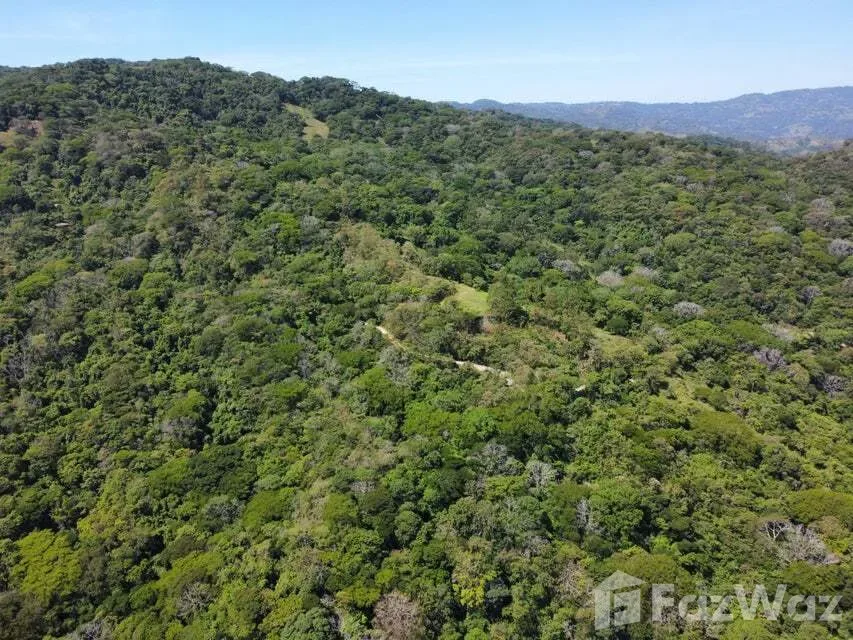 Land for Sale in Mora, San Jose for $5,500,000 — photo 4
