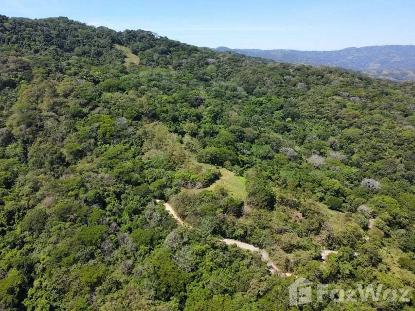 Land for Sale in Mora, San Jose for $5,500,000 — photo 5