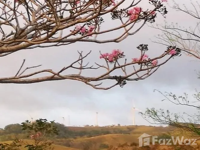 Land for Sale in Tilaran, Guanacaste for $16,375