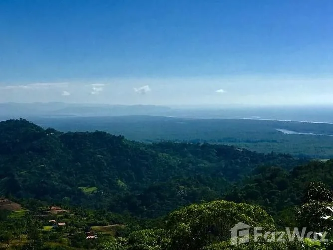 Land for Sale in Osa, Puntarenas for $139,000