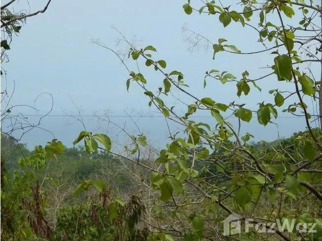 Land for Sale in Nicoya, Guanacaste for $159,000