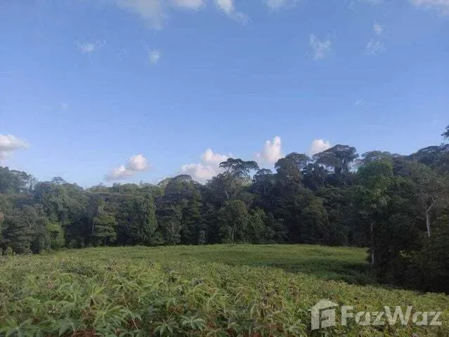 Land for Sale at HEREDIA for $1,370 — photo 3