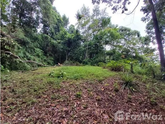 Land for Sale in Aguirre, Puntarenas for $86,363