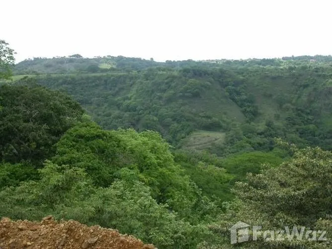 Land for Sale in Mora, San Jose for $70,000