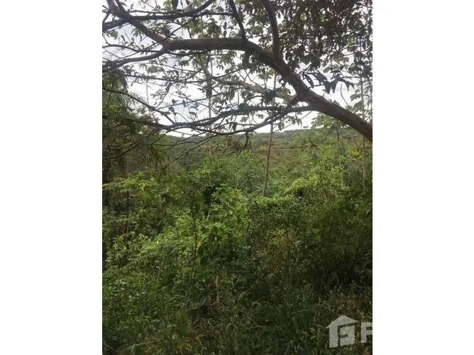 Land for Sale in Mora, San Jose for $70,000 — photo 2