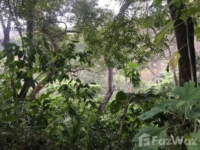 Land for Sale in Mora, San Jose for $70,000 — photo 4