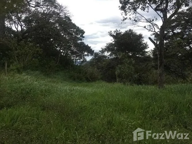 Land for Sale in Mora, San Jose for $70,000 — photo 5