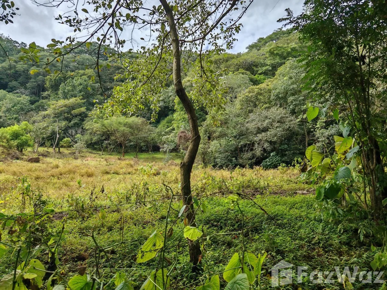Land for Sale in Mora, San Jose for $1,530,000 — photo 2