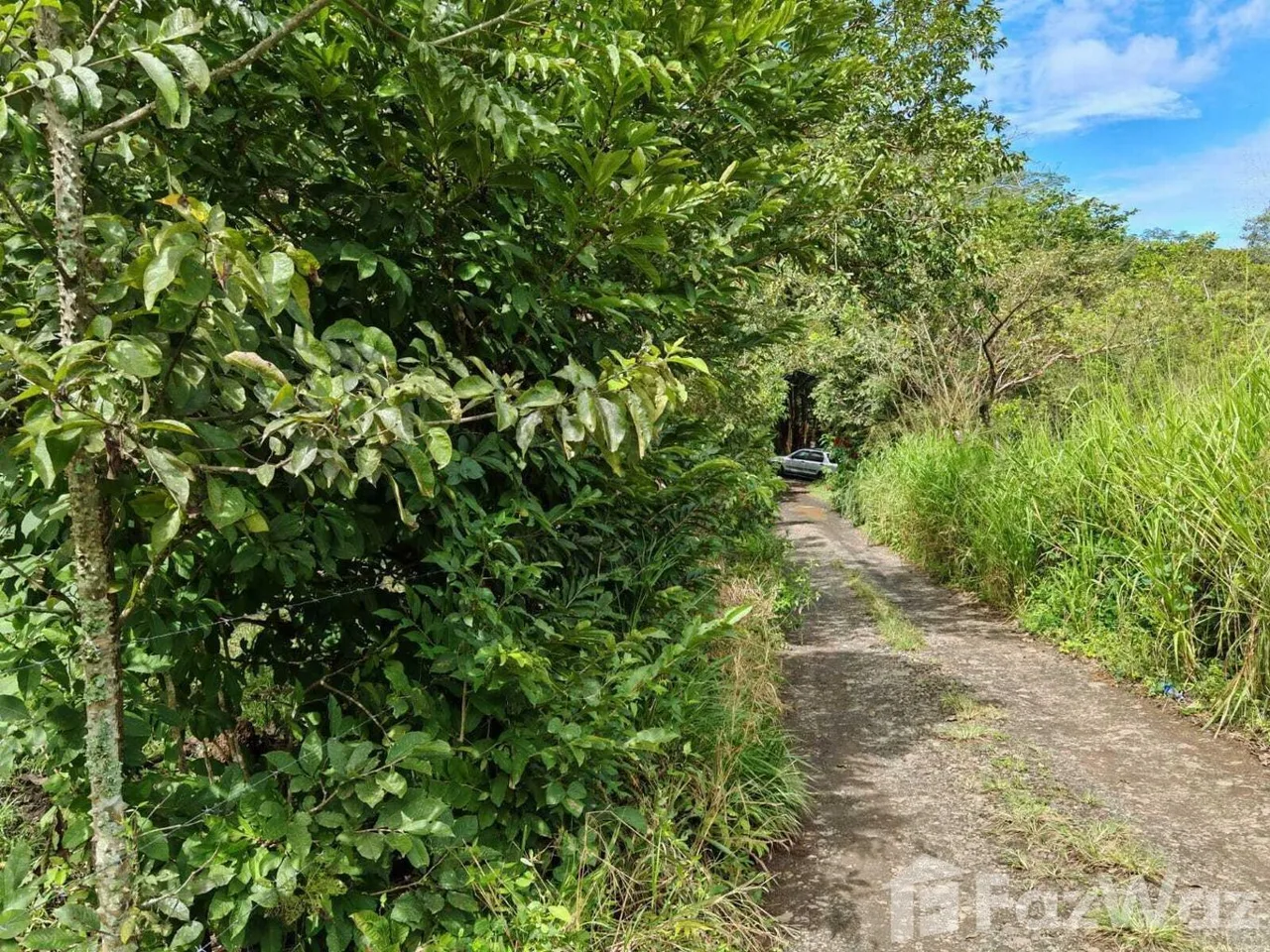 Land for Sale in Mora, San Jose for $1,530,000 — photo 3