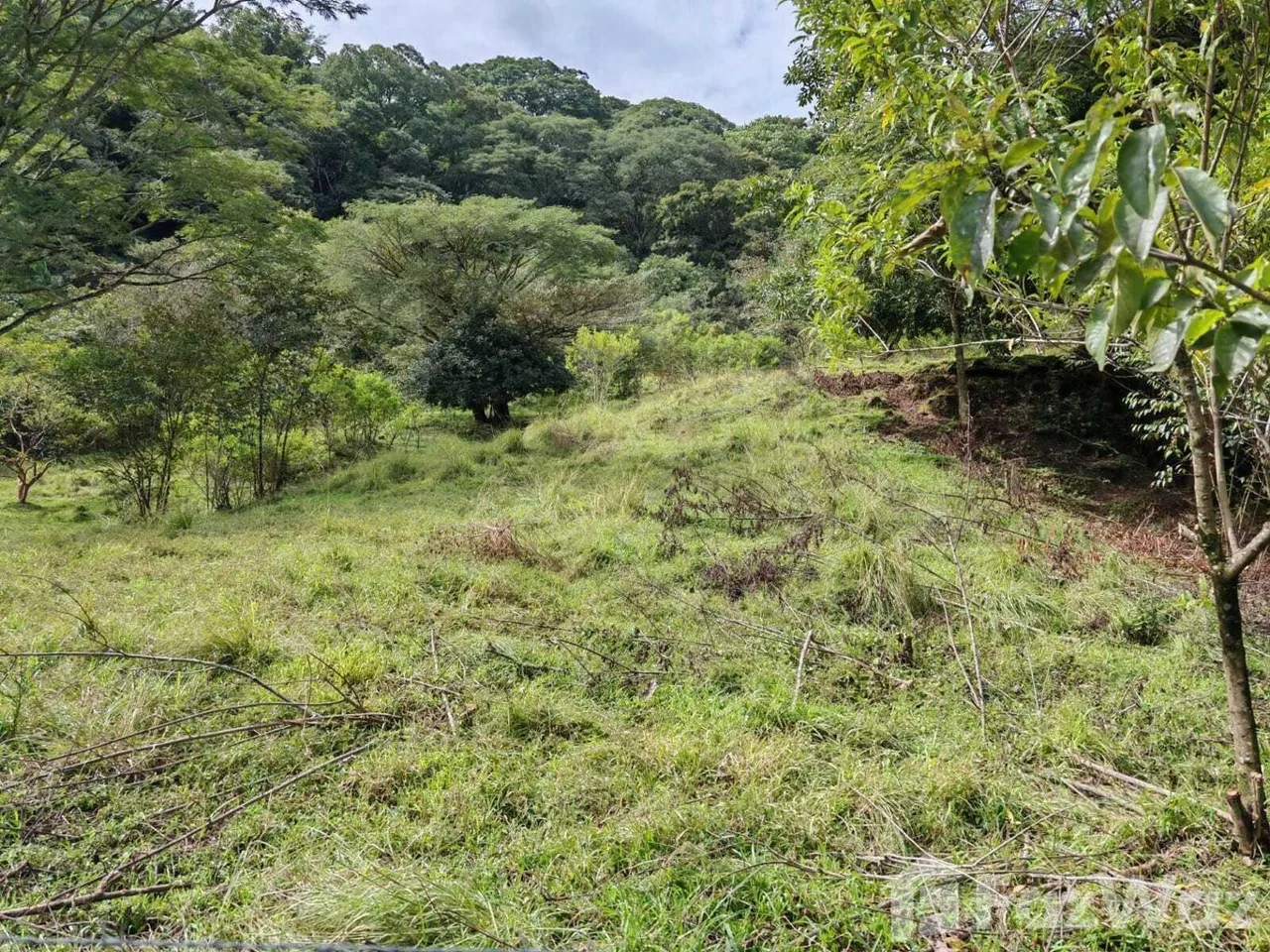 Land for Sale in Mora, San Jose for $1,530,000 — photo 4