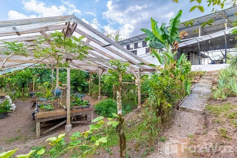 4 Bedroom House for Sale in Perez Zeledon, San Jose for $399,000 — photo 3