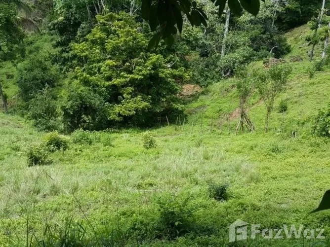 Land for Sale at Manuel Antonio for $600,000
