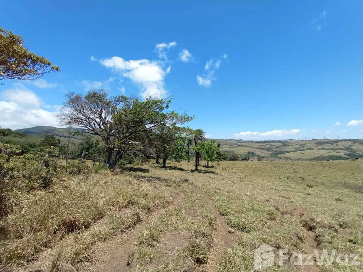 Land for Sale in Tilaran, Guanacaste for $1,000,000