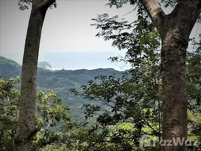 Land for Sale in Nicoya, Guanacaste for $135,000