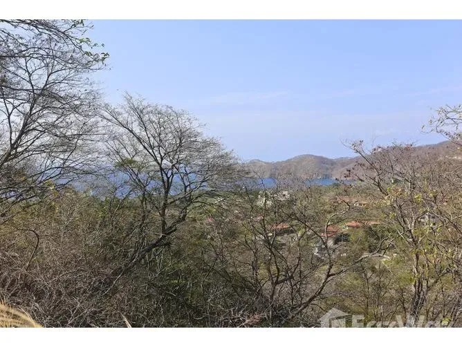 Land for Sale in Carrillo, Guanacaste for $219,000
