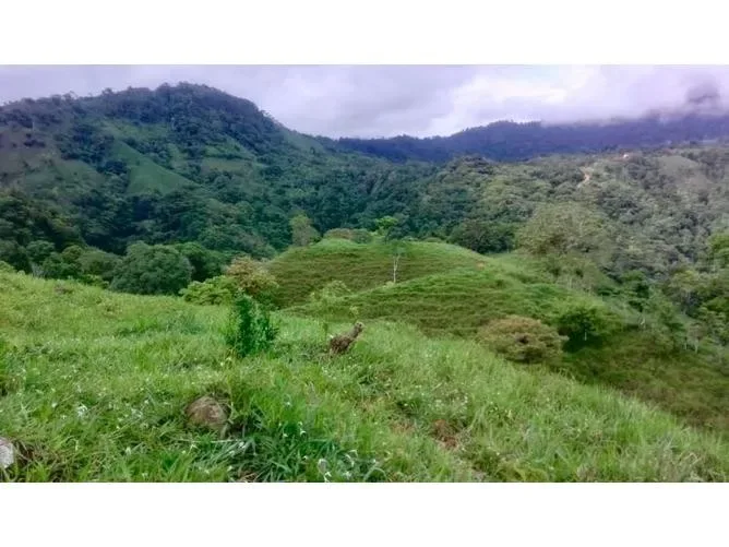 Land for Sale in Buenos Aires, Puntarenas for $932,000