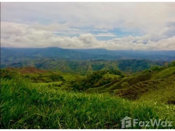 Land for Sale in Golfito, Puntarenas for $268,000