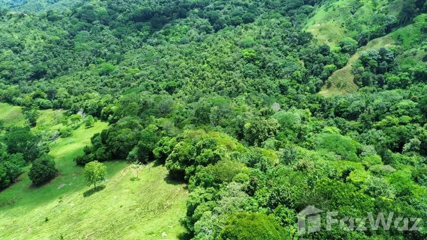 Land for Sale at SAN JOSE for $123,000 — photo 3
