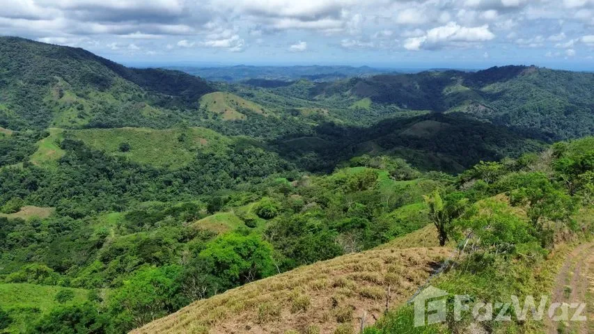 Land for Sale at SAN JOSE for $123,000 — photo 4