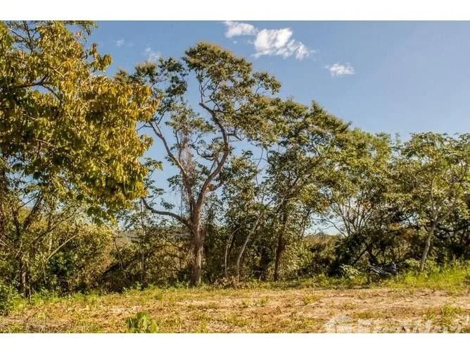 Land for Sale in Nicoya, Guanacaste for $330,000
