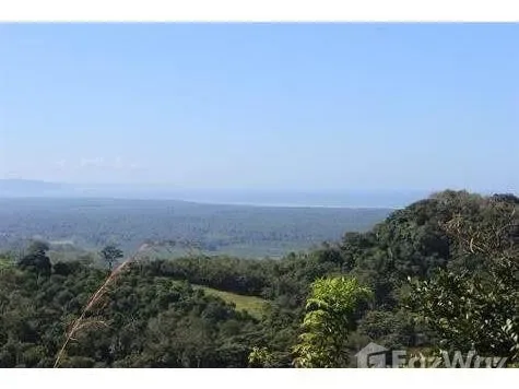 Land for Sale in Osa, Puntarenas for $114,000