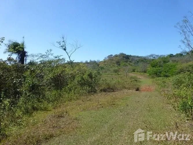 Land for Sale in Santa Cruz, Guanacaste for $225,000