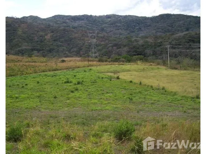 Land for Sale in Alajuela, Alajuela for $210,000