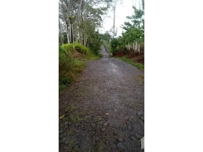 Land for Sale in San Carlos, Alajuela for $104,000