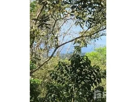 Land for Sale in Osa, Puntarenas for $69,000