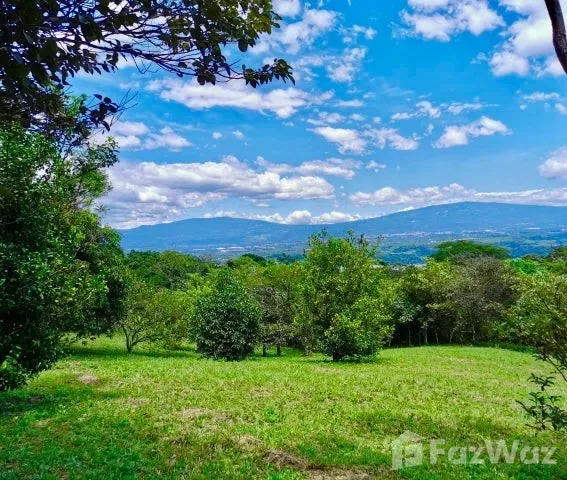Land for Sale at Paseo Colon for $425,000 — photo 2