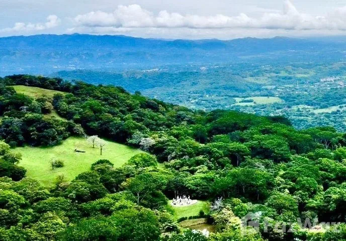 Land for Sale at Paseo Colon for $425,000 — photo 3