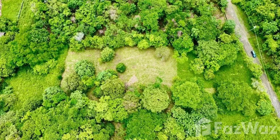 Land for Sale at Paseo Colon for $425,000 — photo 5