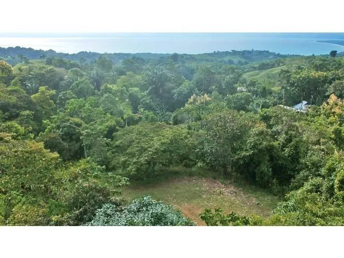 Land for Sale in Golfito, Puntarenas for $130,000
