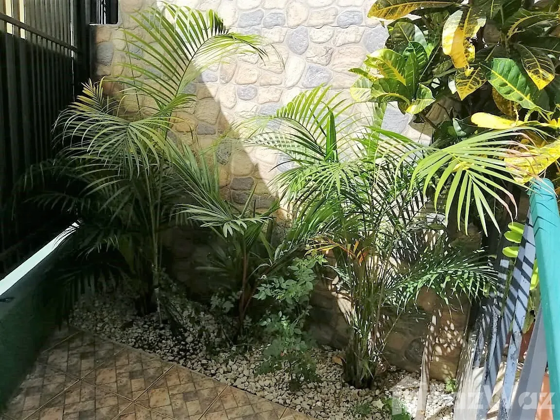 10 Bedroom Hotel for Sale in San Jose, San Jose for $295,000 — photo 2