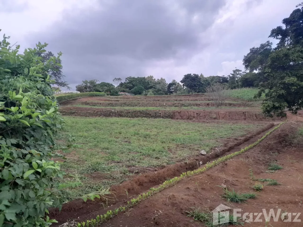 Land for Sale in Hojancha, Guanacaste for $40,000