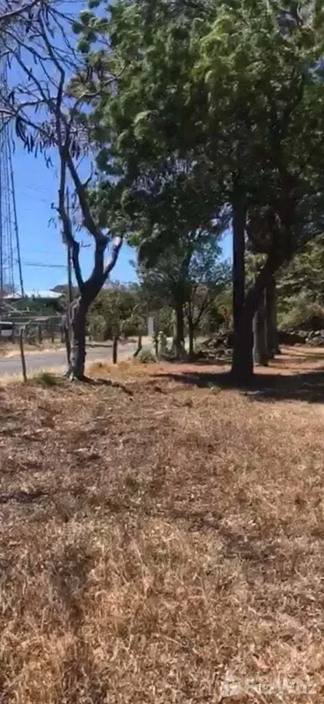 Land for Sale at La Cruz Guanacaste El Jobo for $79,000
