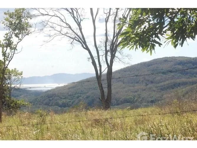 Land for Sale in Esparza, Puntarenas for $1,044,000