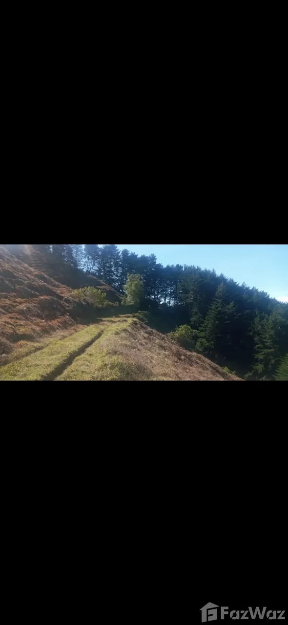 Land for Sale in Leon Cortes, San Jose for $132,000 — photo 2