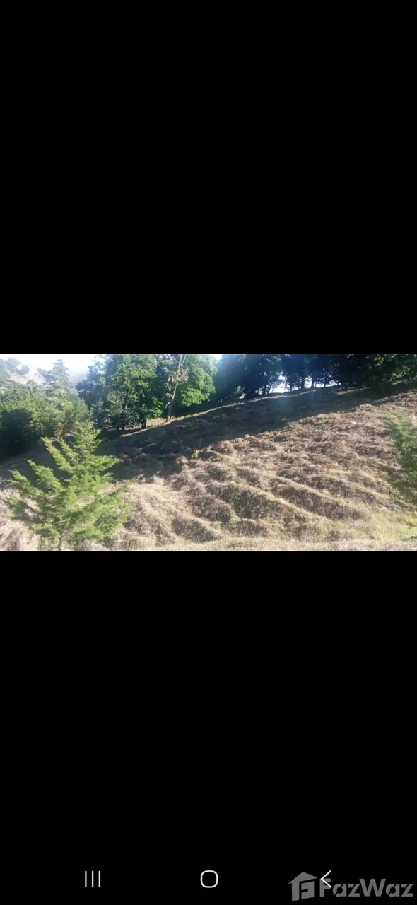Land for Sale in Leon Cortes, San Jose for $132,000 — photo 3