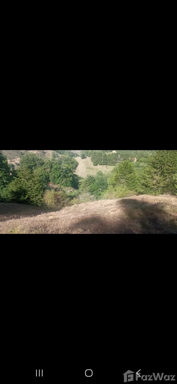 Land for Sale in Leon Cortes, San Jose for $132,000 — photo 5