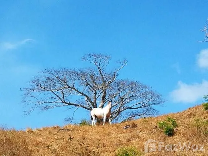 Land for Sale in Abangares, Guanacaste for $172,615