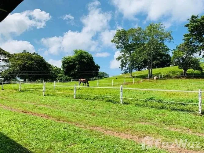 Land for Sale in Orotina, Alajuela for $3,191,000