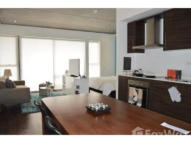 1 Bedroom Apartment for Sale at Santa Ana for $115,000