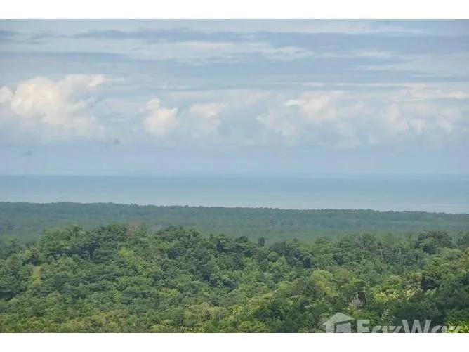 Land for Sale in Osa, Puntarenas for $239,500
