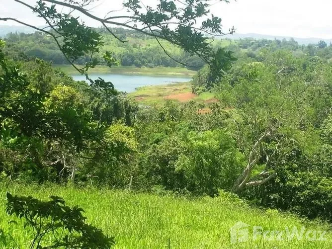 Land for Sale in Tilaran, Guanacaste for $49,900