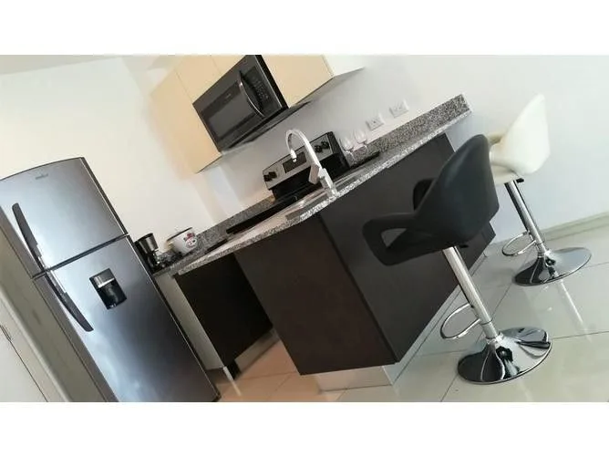 1 Bedroom Apartment for Rent at Condominio Bambu 106 for $700/mo