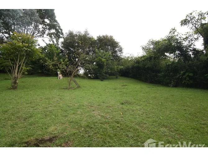 3 Bedroom House for Sale in Vasquez De Coronado, San Jose for $280,000 — photo 3